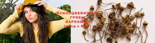 кокс Белокуриха