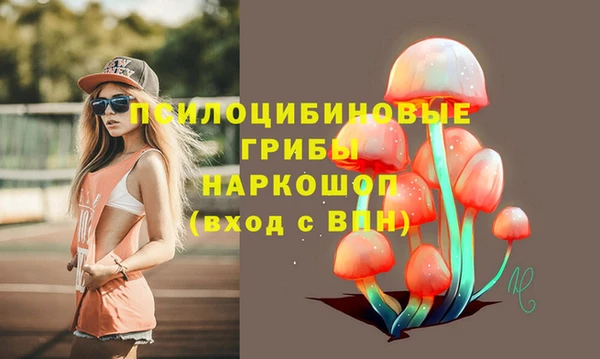 амф Беломорск