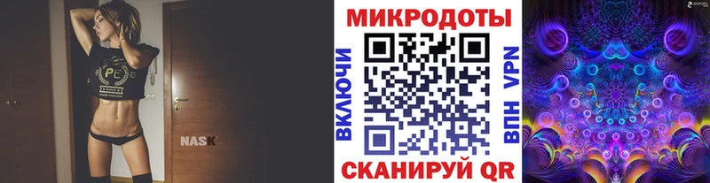 Псилоцибиновые грибы мицелий Большой Камень