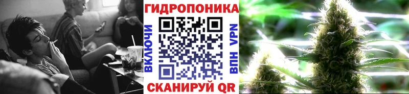 KRAKEN маркетплейс  Большой Камень  Марихуана ГИДРОПОН 